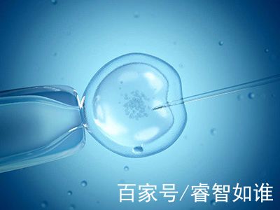胚胎培养箱